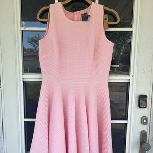 NWT Gabby Syke Baby Pink Skater Dress with Zip Closure
